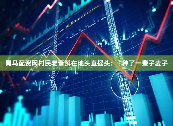 黑马配资网村民老董蹲在地头直摇头：“种了一辈子麦子