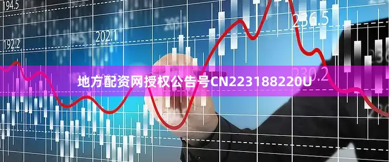 地方配资网授权公告号CN223188220U