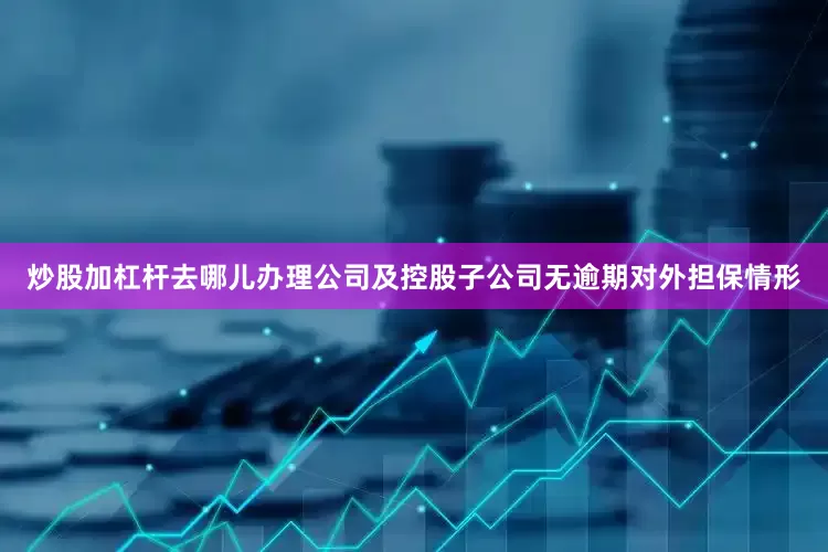 炒股加杠杆去哪儿办理公司及控股子公司无逾期对外担保情形